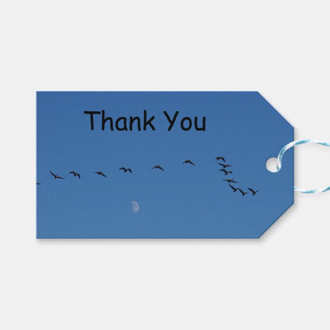 Kanadensiska gäss under flygning presentetikett (Framsidan (Horisontell))