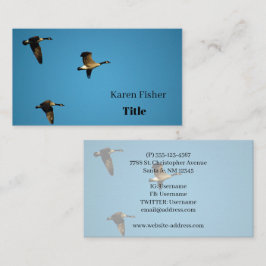 Kanadensiska gäss under flygning visitkort