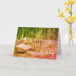 Kanadensiska gässlägenheter Art Birthday Card Kort