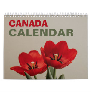 Kanadensiska Helgdagar i Nature Wall Calendar 2026 Kalender