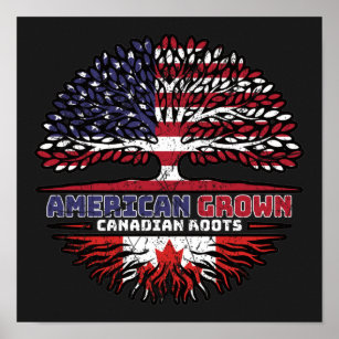 Kanadensiska Kanada USA USA United Stater Träd Poster