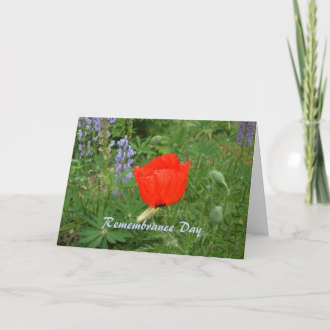 Kanadensiska minnesdagen - 11:e november Poppy Kort (Framsida)