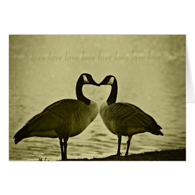 Kanadensiskt gässfoto hälsningskort (Framsidan Horizontal)