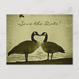 Kanadensiskt gässfoto meddelande vykort