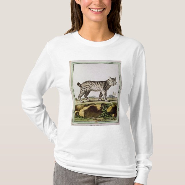 Kanadensiskt lodjur tee (Framsida)