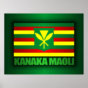 Kanaka Maoli flagga Poster