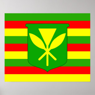 Kanaka Maoli Flagga Poster