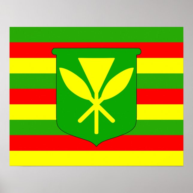 Kanaka Maoli Flagga Poster (Framsidan)