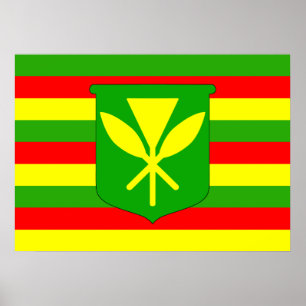 Kanaka Maoli Flagga Poster