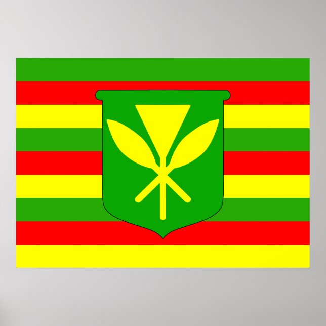 Kanaka Maoli Flagga Poster (Framsidan)