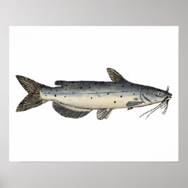 Kanalfisk (ungfisk) poster