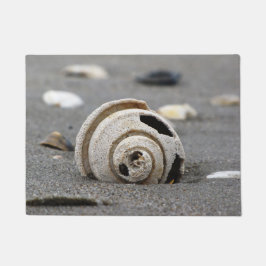 Kanalisera Whelk välkomnande