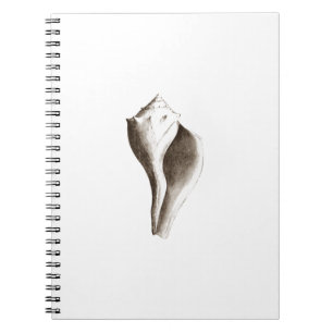 Kanaliserat Whelk (fodra konst), Anteckningsbok Med Spiral