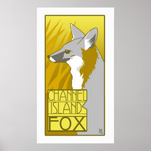 Kanalöarna Fox Poster