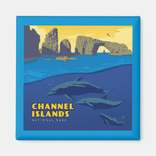 Kanalöarnas nationalpark - delfiner magnet