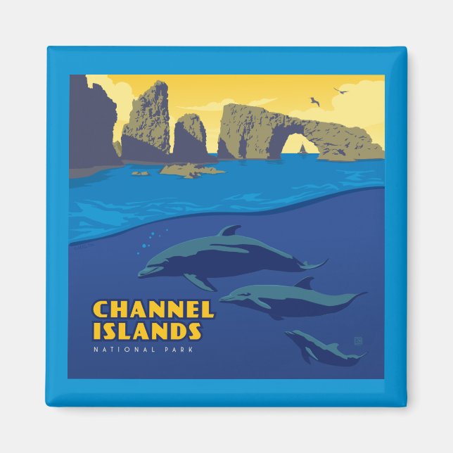 Kanalöarnas nationalpark - delfiner magnet (Framsidan)