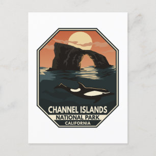 Kanalöarnas nationalpark Dolphin Retro Emblem Vykort