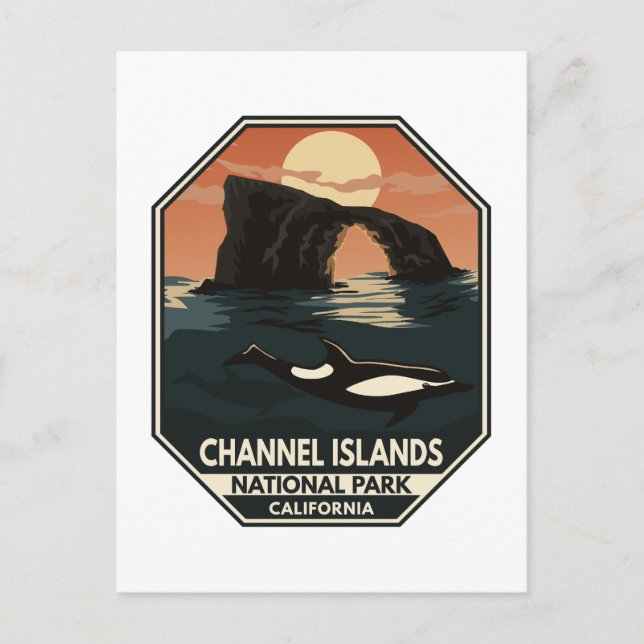 Kanalöarnas nationalpark Dolphin Retro Emblem Vykort (Framsida)