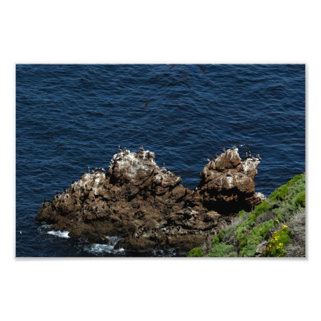 Kanalöarnas nationalpark fototryck (Framsidan)