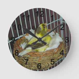 Kanariefågel Rund Klocka