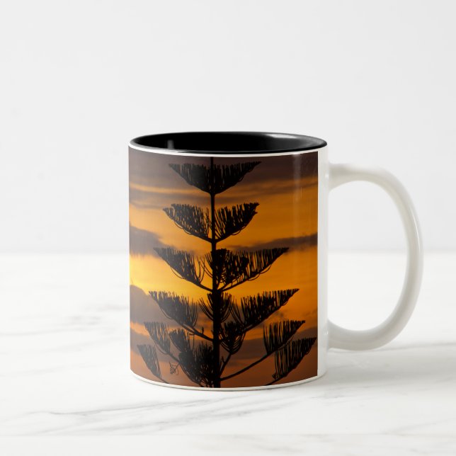 Kanarisk solnedgång, Tenerife, Tvåtons mugg (Höger)