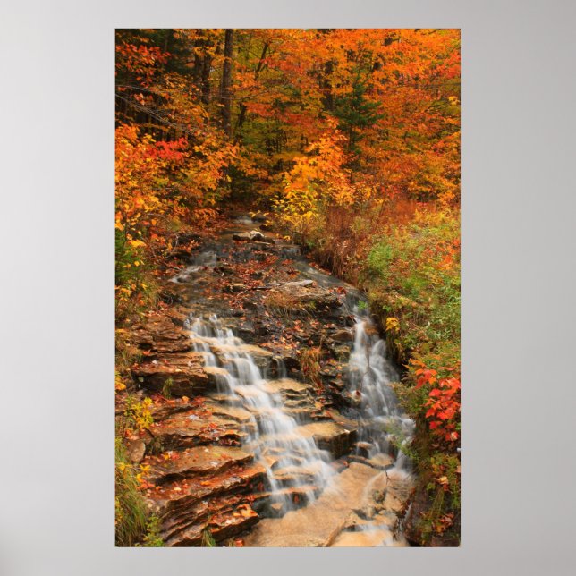 Kancamagus Highway Cascade in Autumn Poster (Framsidan)