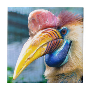 Känd hornbill kakelplatta