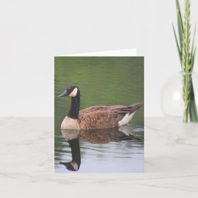 Kandagås Reflektioner Naturanteckning Kort (Framsida)