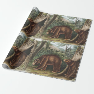 Kanel Bear (Ursus Americanus var. Kanel) Presentpapper