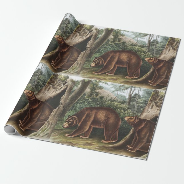 Kanel Bear (Ursus Americanus var. Kanel) Presentpapper (Utrullad)
