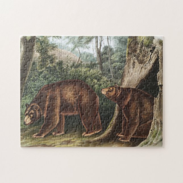Kanel Bear (Ursus Americanus var. Kanel) Pussel (Horisontell)