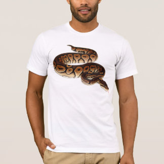Kanelbrun bollpytonorm tee shirt