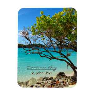 Kanelbrun fjärdSt John USVI Flexi magnet