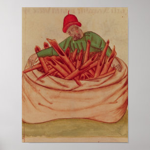 Kanelbrun köpman, från 'Tractatus de Herbis' Poster