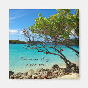 Kanelbruna fjärdSt John USVI magneter