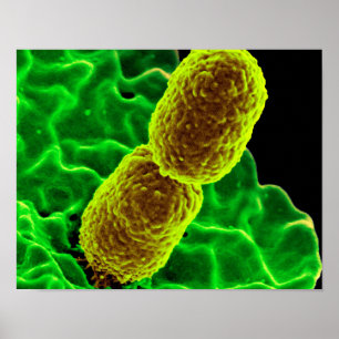 kanfas för affisch för abstrakt microbiologykonst