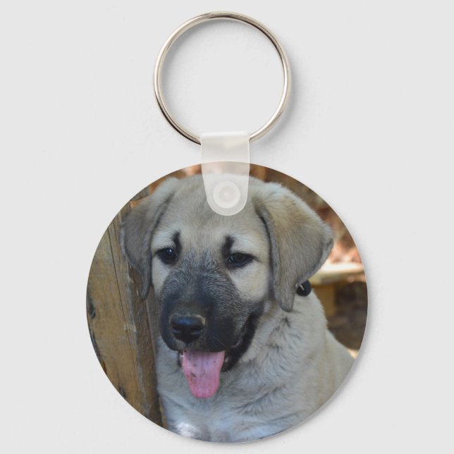 Kangal - Anatoliska får Hund Nyckelring (Framsida)
