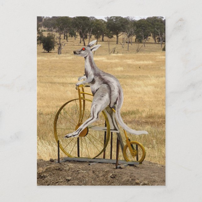 Kangaro på Hjul Vykort (Framsida)