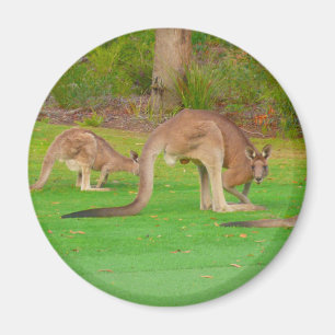 kangarogramfam magnet