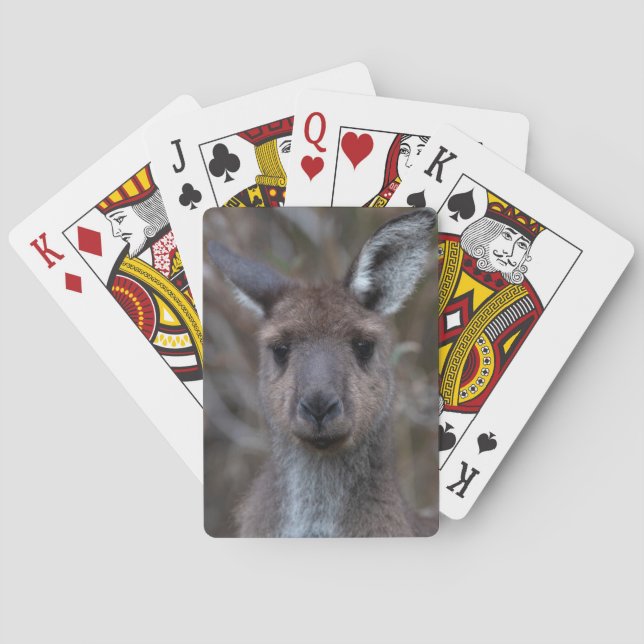 Kangaroo Ansikte Casinokort (Baksidan)