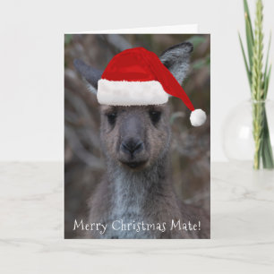 Kangaroo Ansikte Santa Hat God jul Mate Kort