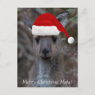 Kangaroo Ansikte Santa Hat God jul Mate Vykort