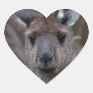 Kangaroo Australien Hjärtformat Klistermärke