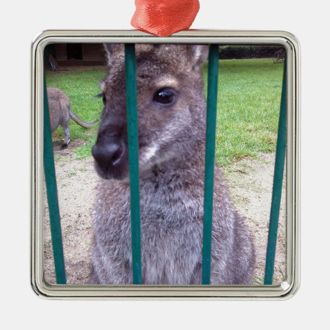 Kangaroo bakom pub julgransprydnad metall (Framsidan)