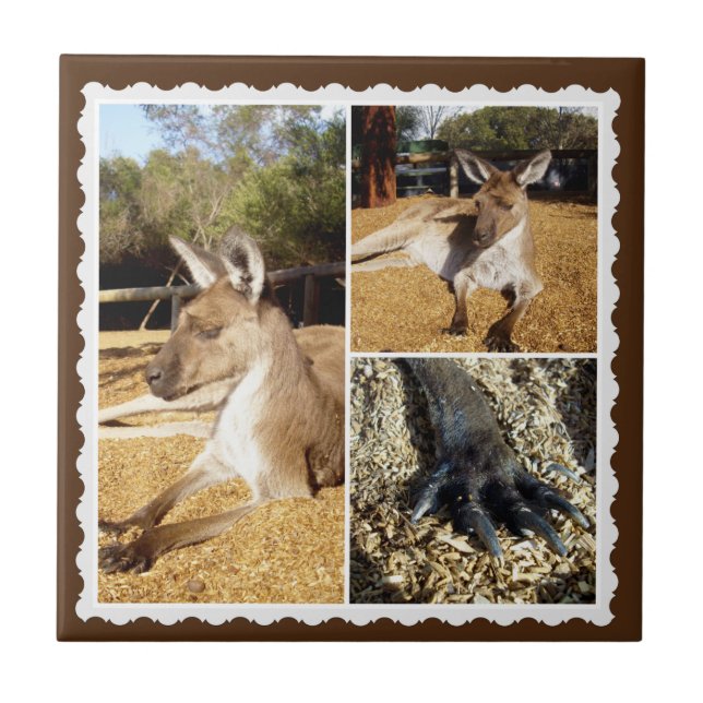 Kangaroo Bild Collage, Ceramic Tile Kakelplatta (Framsidan)