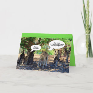 Kangaroo Family Grattis på födelsedagen Humor Kort