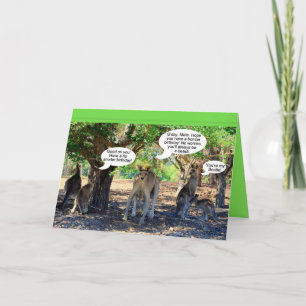 Kangaroo Family Grattis på födelsedagen Humor Kort