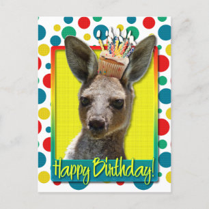 Kangaroo, födelsedagskalas vykort