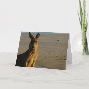 Kangaroo-fotokort Kort