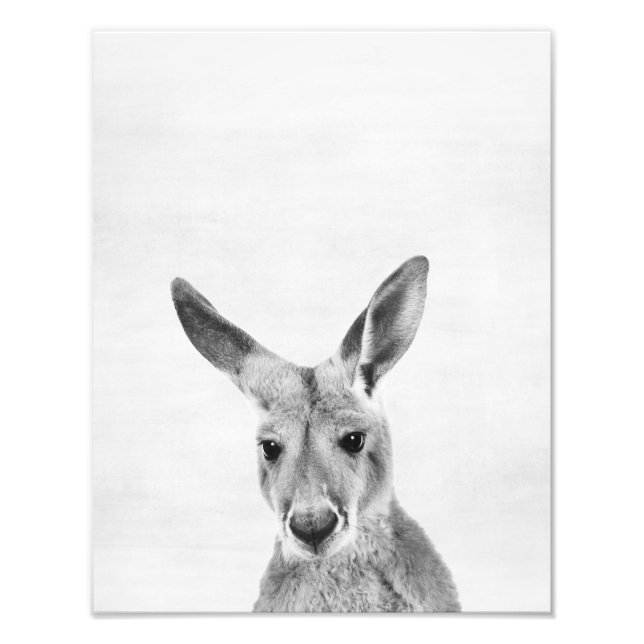Kangaroo Fototryck (Framsidan)